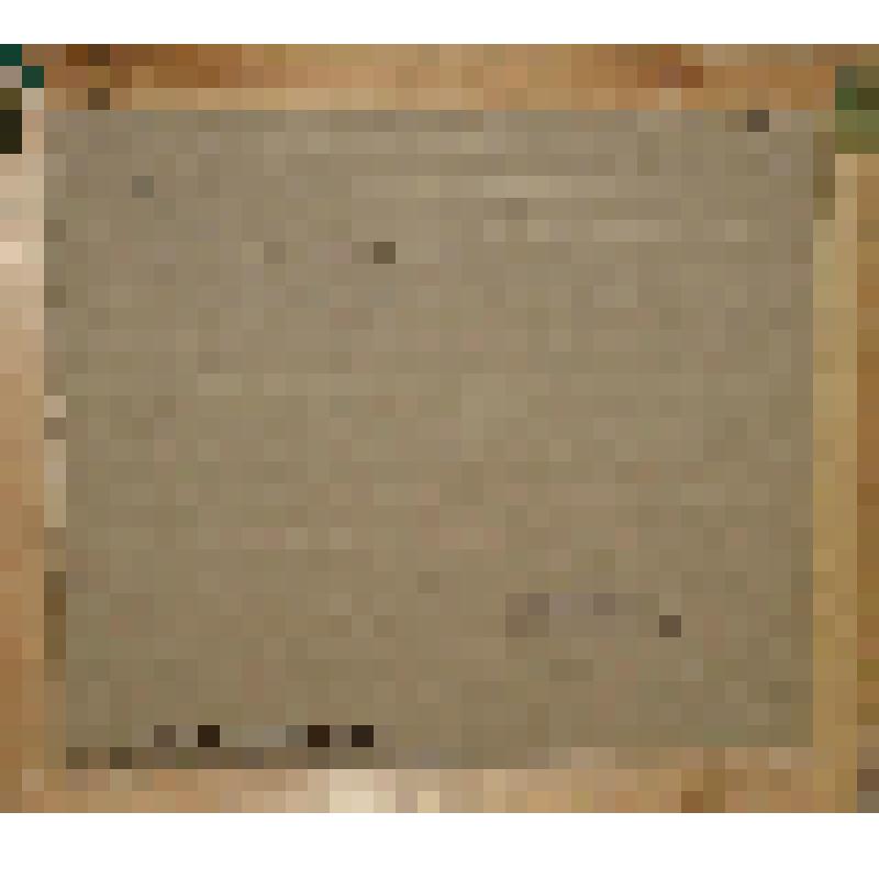 Картина. Натюрморт с травой душицей