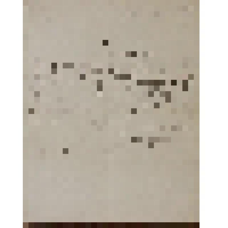 Плещеев Александр Алексеевич (писатель, драматург, актер). Письмо к Кондратьеву Алексею Михайловичу с просьбой оказать содействие в постановке пьесы "С налету" в Новом театре. Подпись-автограф