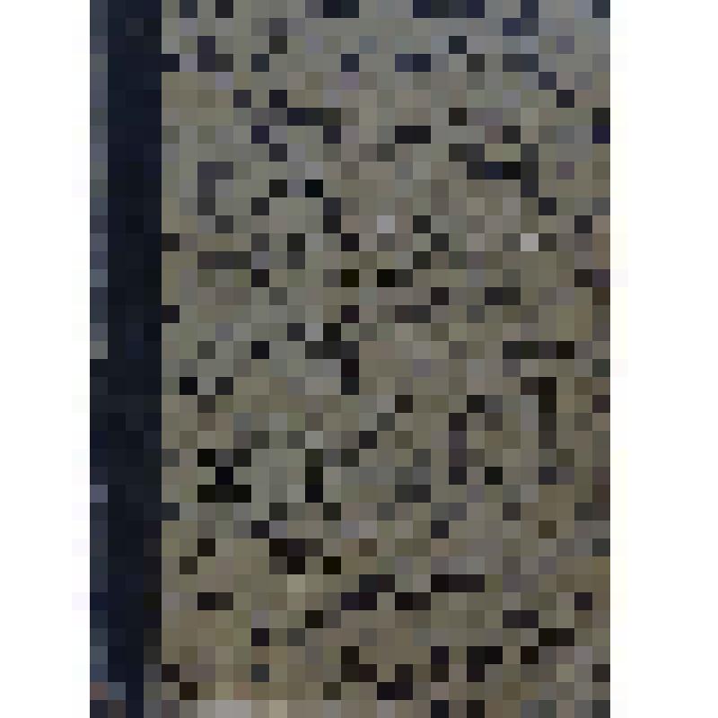 Силы природы и естественные законы