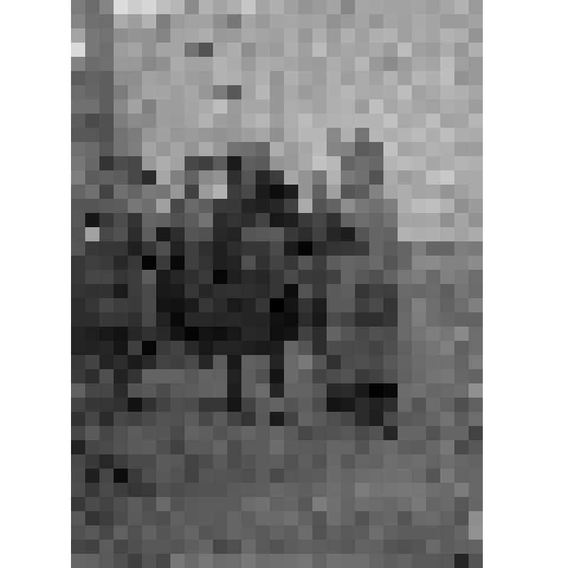 Смотр молодых солдат командиром 2-го корпуса Мехмандоровым