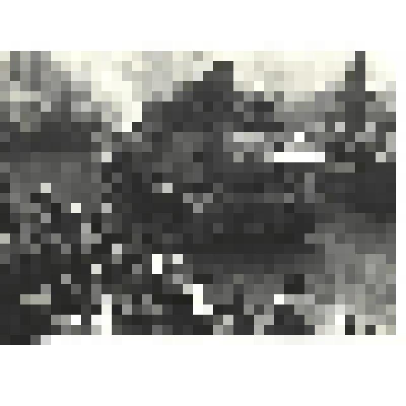 Фотографии. Фото ч/б. Польша встречает освободителей. Советские танкисты на улицах Лодзи, 1945 г