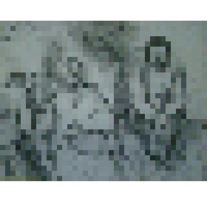 Смертники. Из цикла "Невинно страдавшие"