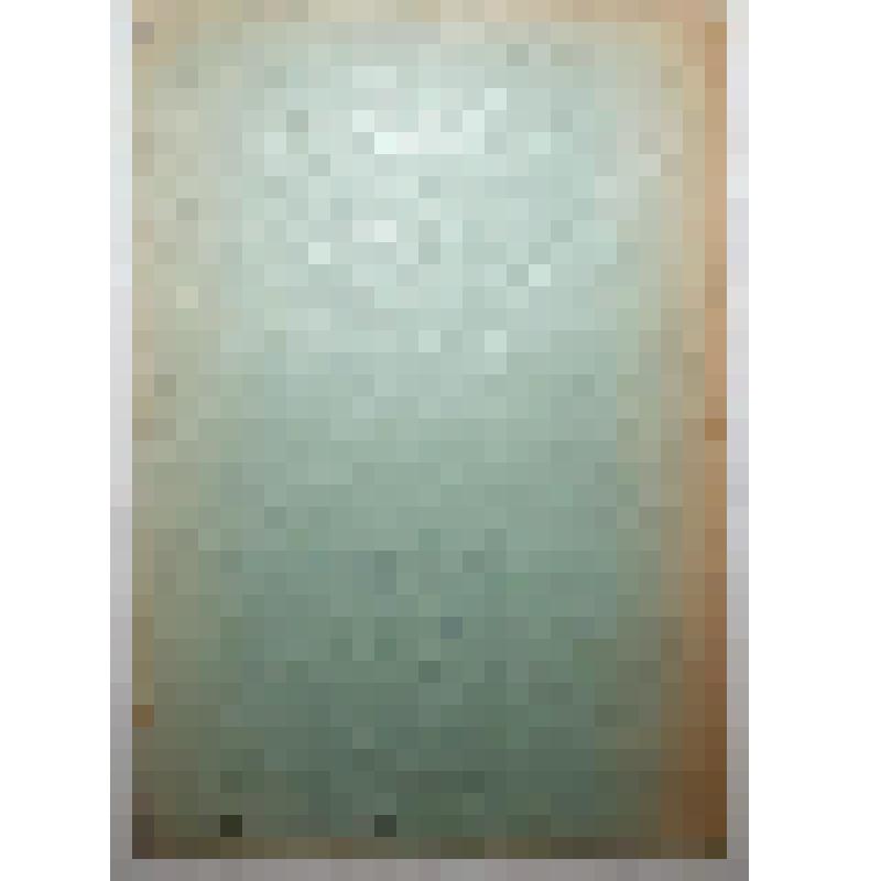 Книга. Племенной бык. Типо-литография "Вестник Ленинградского Совета"