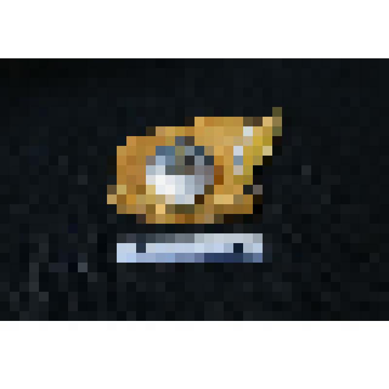 Значок «Ленинский комсомол». Из коллекции значков и знаков ВЛКСМ и молодежных организаций СССР и мира. 1920-1990-е гг