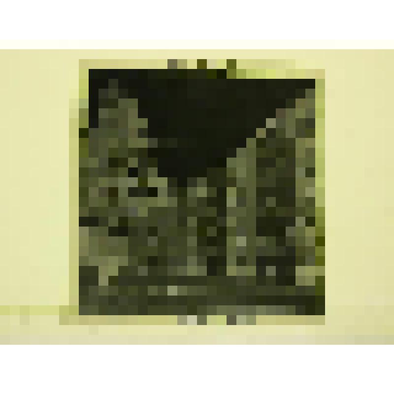 Жилой дом в рыбацком поселке. Жилой дом в рыбацком поселке Фрагмент фасада. Перспектива