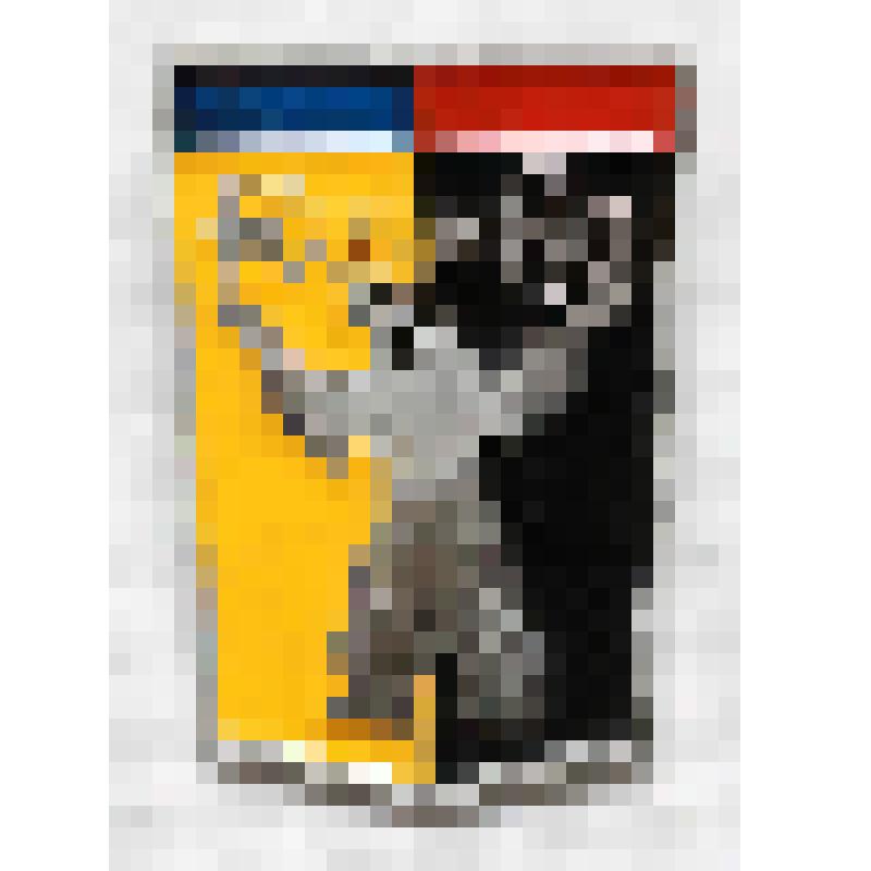 Значок "Норильск" со стилизованным изображением медведя, держащего в лапах символический ключ