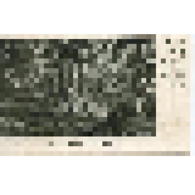 Открытка.Репродукция с фотографии. Могила Л.Н.Толстого. Фото В.Г.Черткова. 1911г