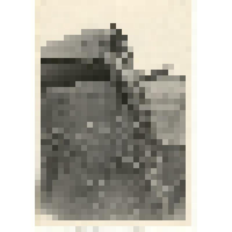 фотография: выгрузка гороха из бункера комбайна в совхозе Октябрь Октябрьского отделения Каменского района