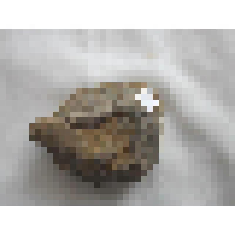 Пиритовые конкреции, из коллекции "Предметы палеонтологии Народного музея"