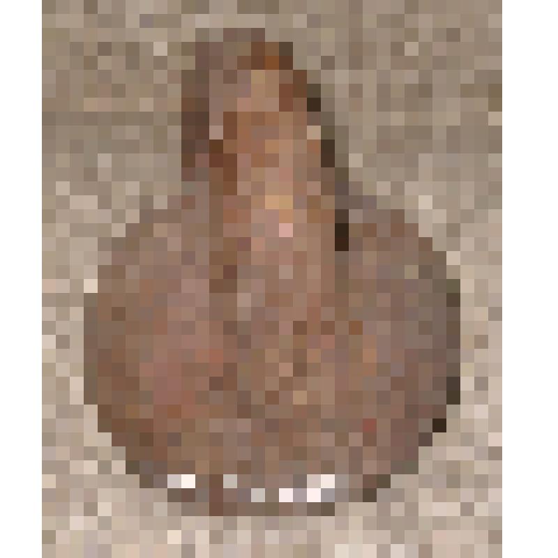 Гиря