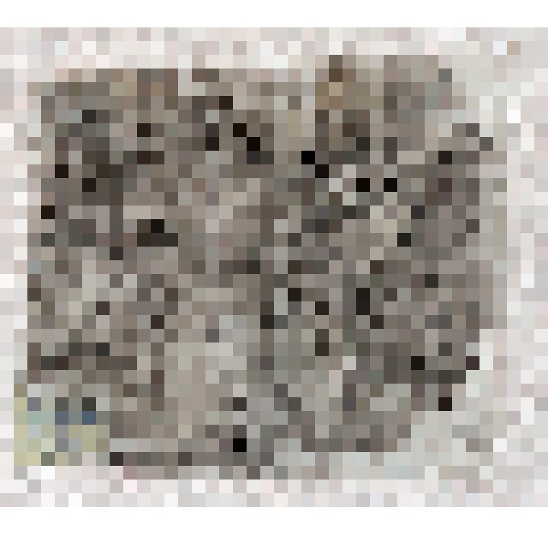 Эстампаж с наскального памятника Тамгалы