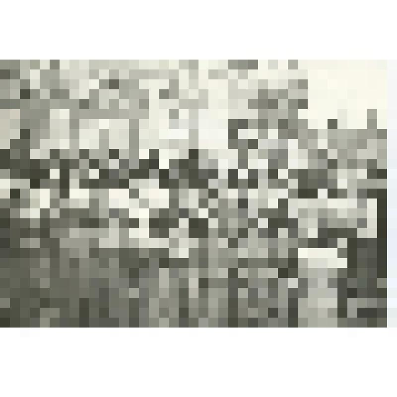 Фотография. Московский хор молодежи и студентов и Б.Г. Тевлин (справа, внизу) перед выступлением в День города. Стоят на станках на фоне ГУМа (Красная площадь). Группа