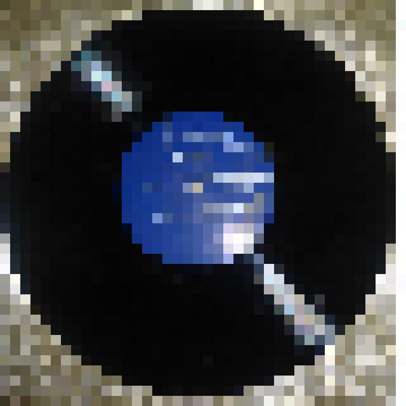 Грампластинка "Ленин в Горках"