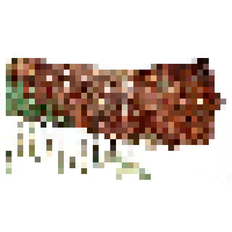 Нагрудник с одиннадцатью подвесками