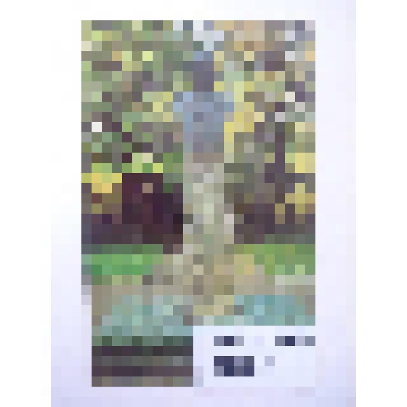 Комплект открыток "Кронштадт". Открытка "Кронштадт". Памятник изобретателю радио А. С. Попову