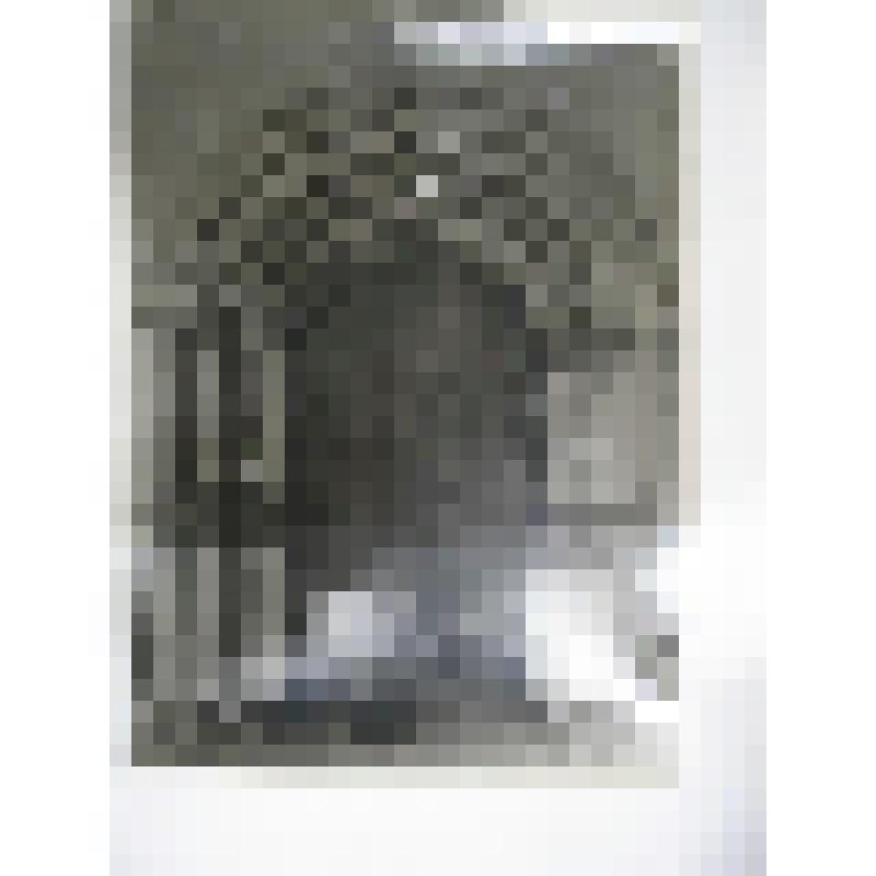 Собор Зачатия Анны. Высоцкий монастырь, кон. XVI в. - нач. XVII в. Московская обл., Серпуховский р-н, г. Серпухов. Высоцкий монастырь. Собор Зачатия Анны, кон. XVI в. - нач. XVII в. Южный портал