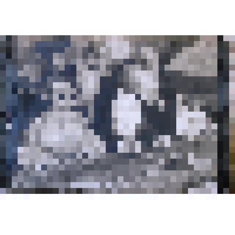 Открытое письмо