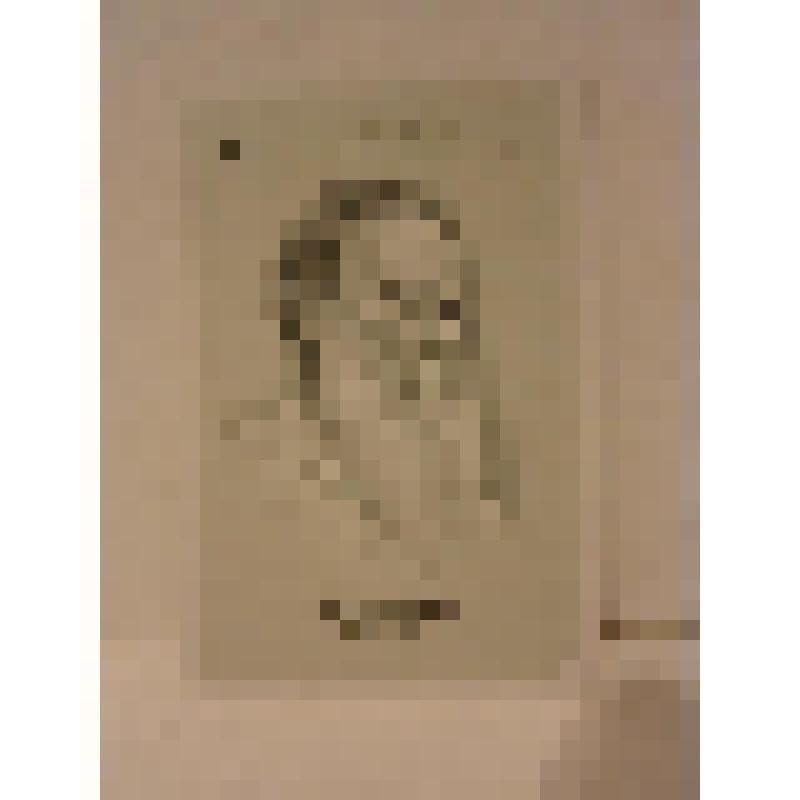 Лев Толстой (Leo Tolstoi). Карта из колоды «Литераторы (бессмертный свет литератора)» (Unsterbliche Dichter), принадлежавшей А.А. Тарковскому