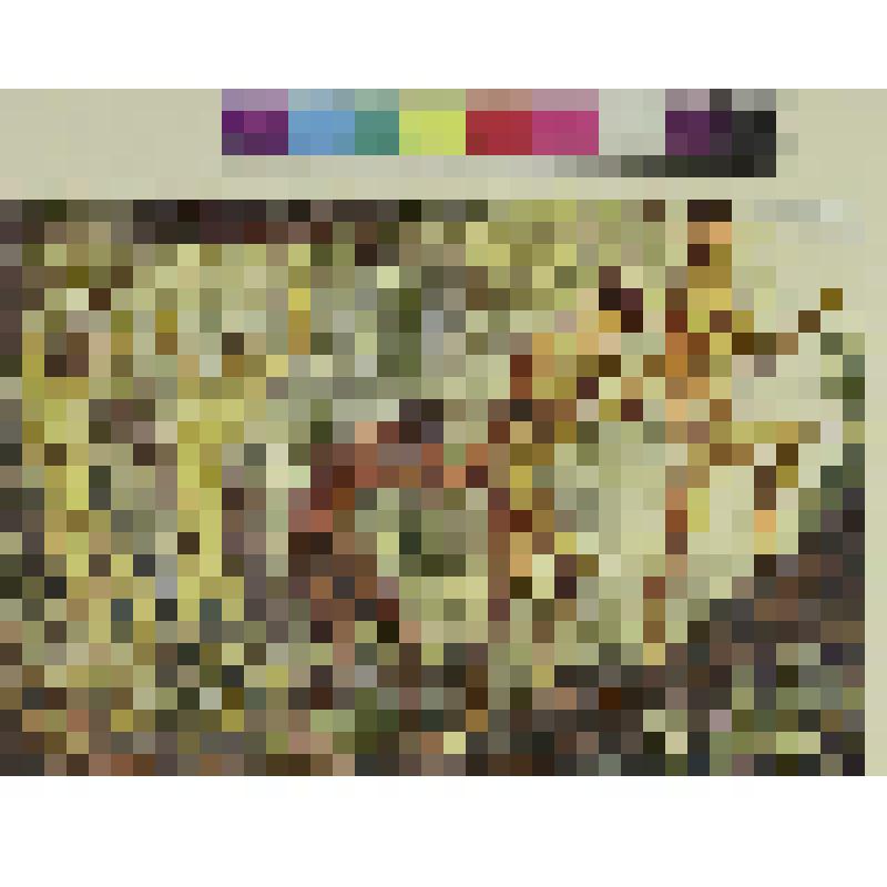 Расцвет (две женских и три мужских фигуры), гравюра