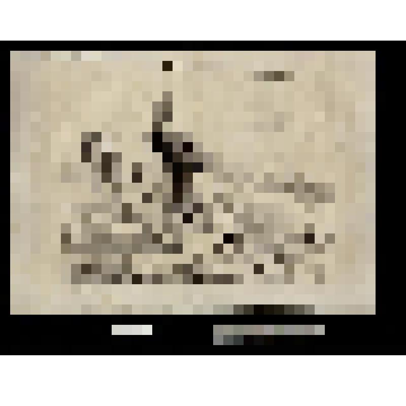 Une navigation difficile (