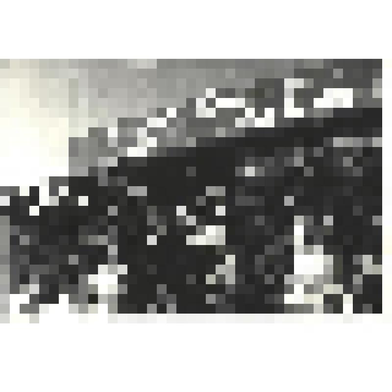 Фотографии. Фото ч/б. Демобилизованные воины уезжают домой из Берлина, июль 1945 г