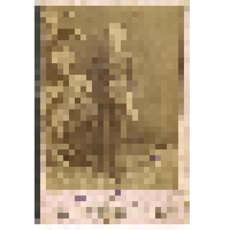 Фотопортрет. Борис Гамалей