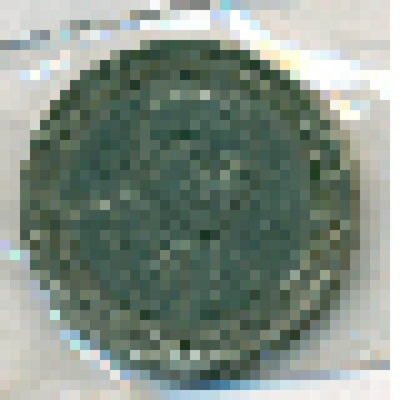 Монета 1 рупия 1987 года, Маврикий