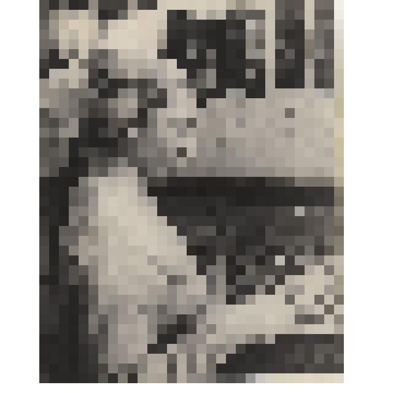 Фотография. Пятигорская ковровая фабрика им. Ильича. Ковроткачиха Данилова Е. за работой. Автор Зильберг В