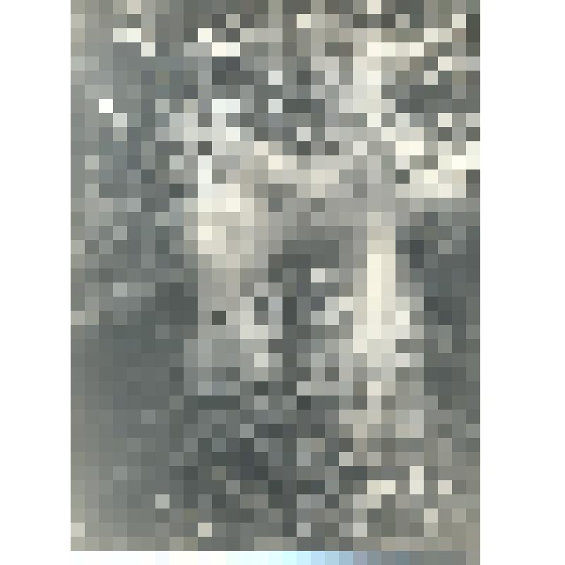 Фотография черно-белая. Общий вид осушительного канала на участке поймы р. Неруссы в д. Пчела. Колхоз «30 лет ВЛКСМ» Брасовского района