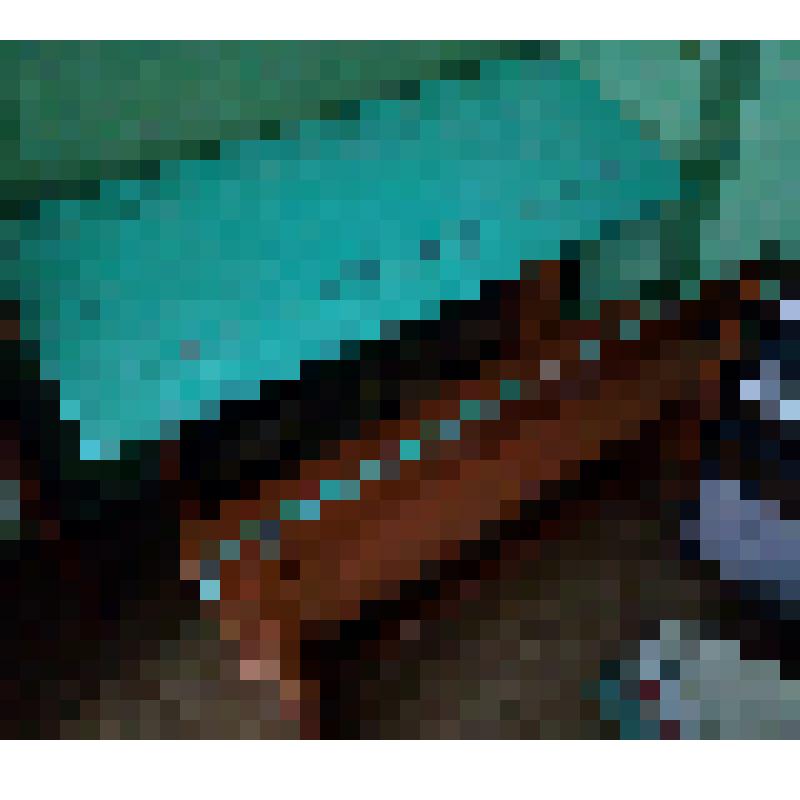 Парта Эрисмана