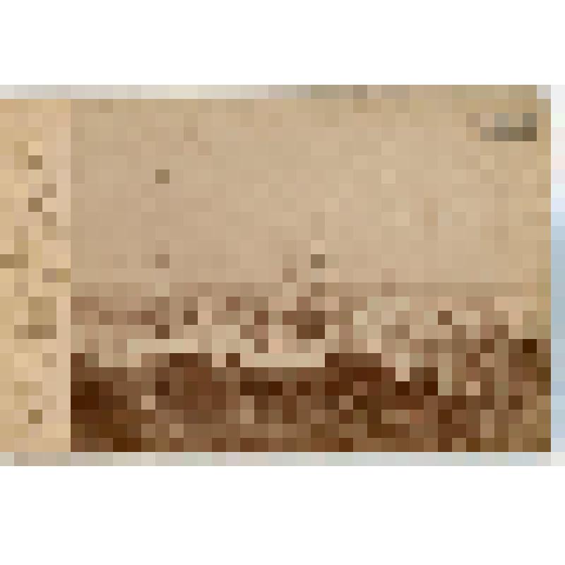 Фотография. Симбирск. Вид на Спасский женский монастырь и Карамзинский сквер с Никольской церкви