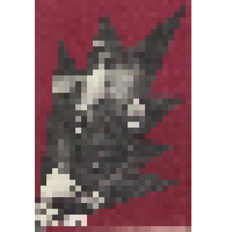 Книга "Живая память. Ветераны войны и труда: верность отечеству 1945-1997"