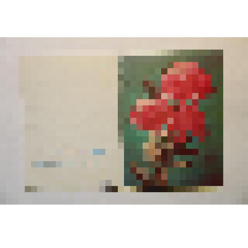 Телеграмма поздравительная Я. Кулмыю