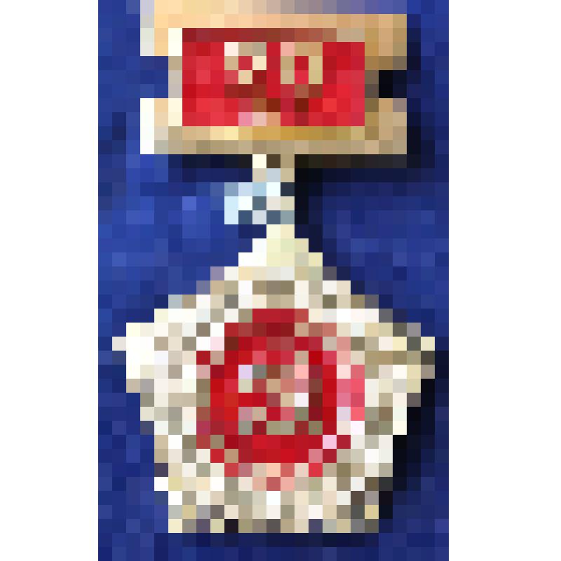 Значок памятный "ВЕТЕРАН ТРУДА АНГАРСТРОЯ 20 лет"