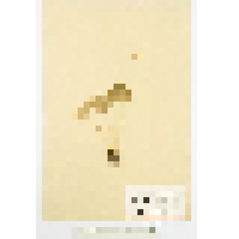 Гербарный экземпляр сосудистых растений. Кортуза алтайская