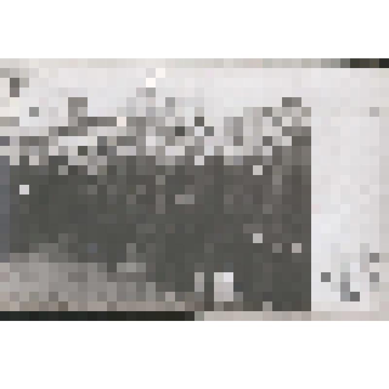 "Процесс лейтенанта П.П. Шмидта и матросов. Группа подсудимых матросов казнены: 1. Частник, 2. Гладкий."