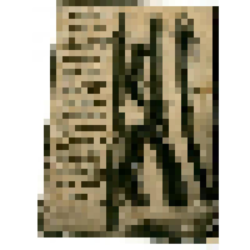 Фотокопия. Казацкое оружие