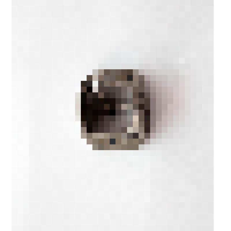 элемент конской сбруи