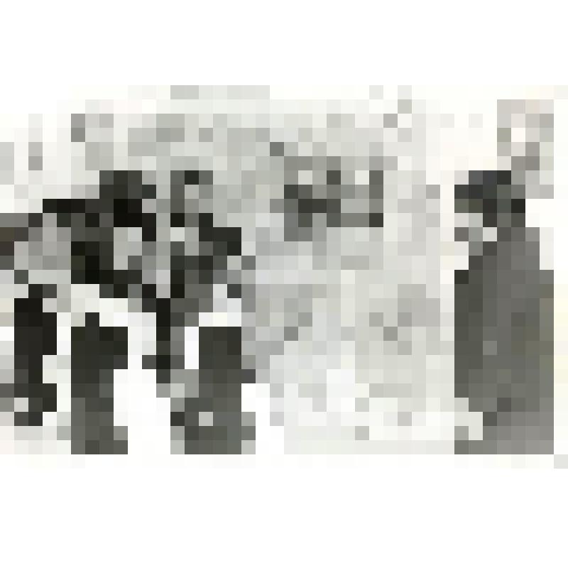 Фотокопия. Групповой портрет. Подобед М.С., учитель школы п. Самбург, с учащимися у карты