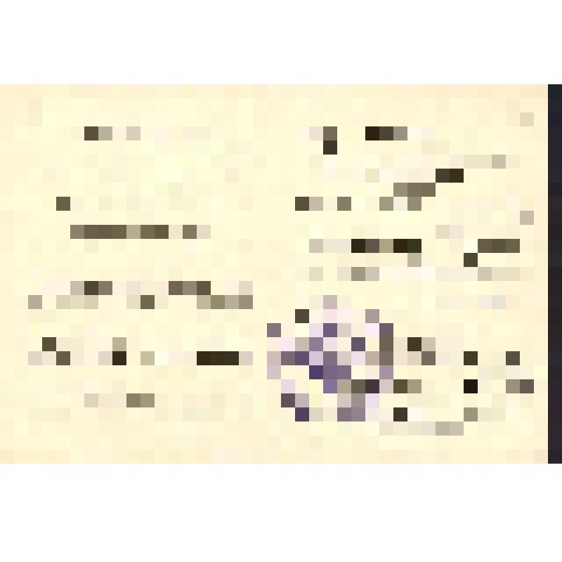 Удостоверение об избрании депутатом Титову Марию Васильевну от избирательного округа № 61 Железнодорожного районного Совета депутатов трудящихся Новосибирской области