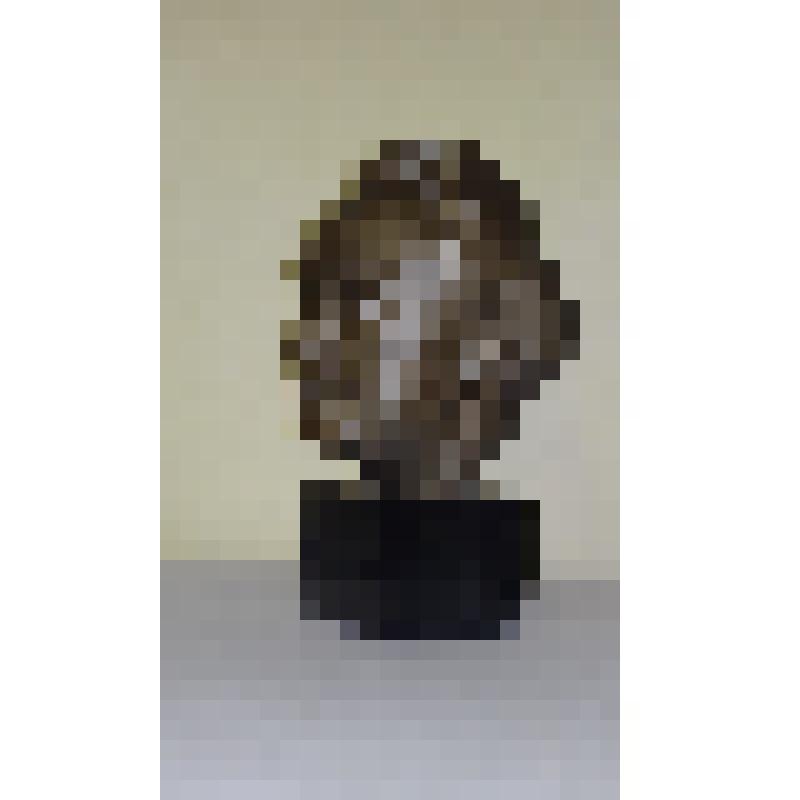 Скульптура. Бюст писателя М.А. Шолохова