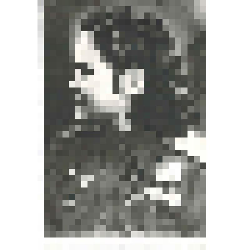 Фотокопия. Рябова Екатерина, Герой Советского Союза, штурман, гв.старший, лейтенант 46-го Гвардейского авиаполка