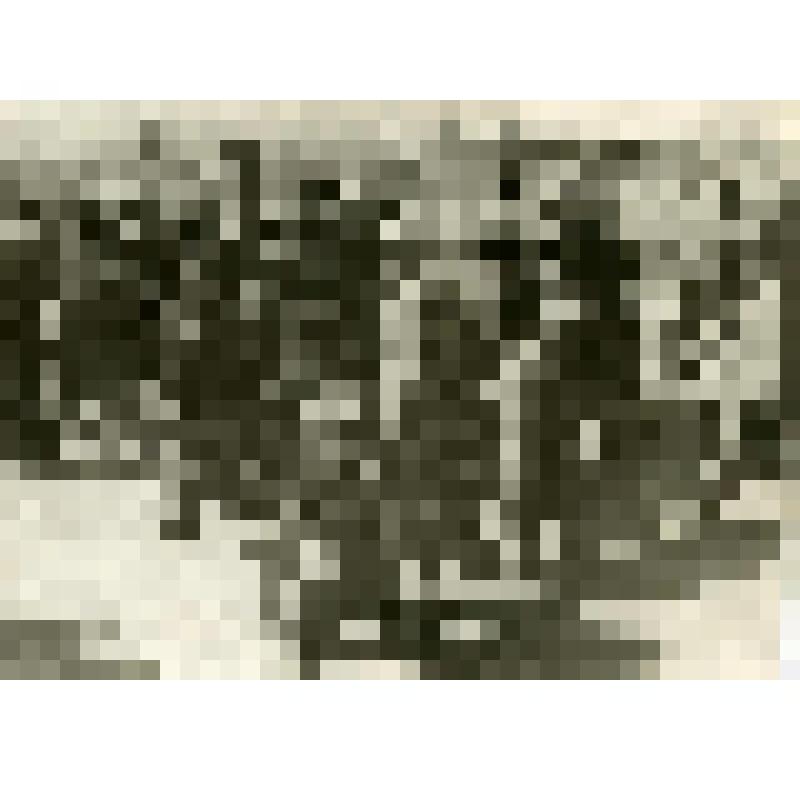 Фотография. Колонна первомайской демонстрации, идущая по ул. Горького в районе механического института