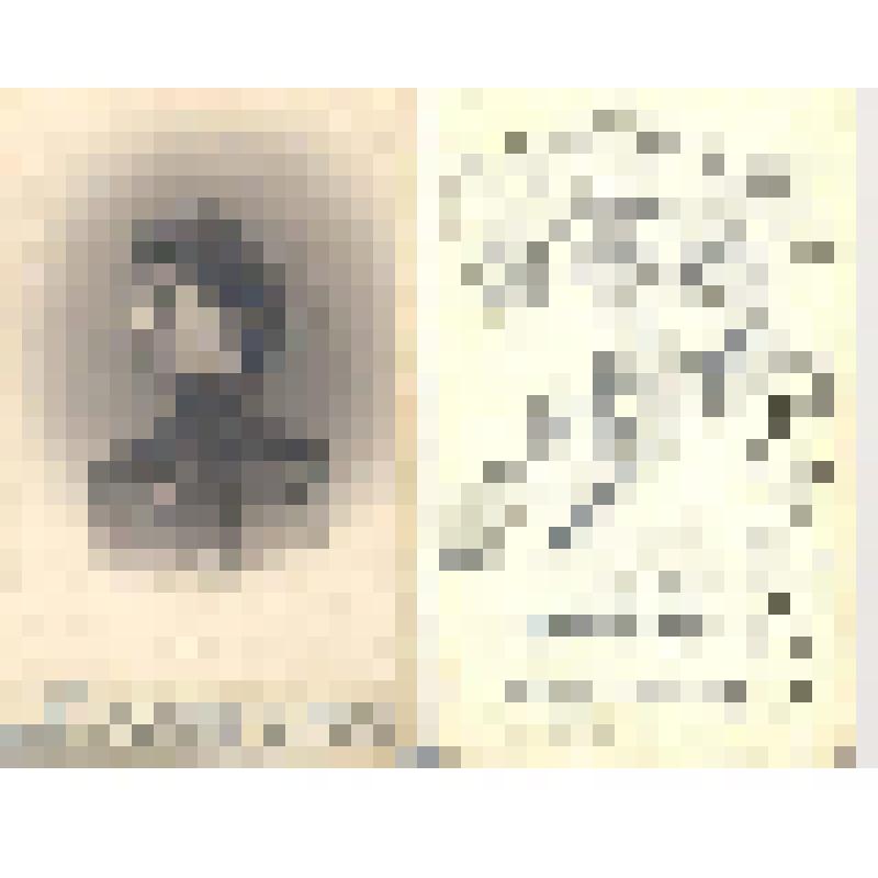 Портрет девушки (Р. Гуревич)