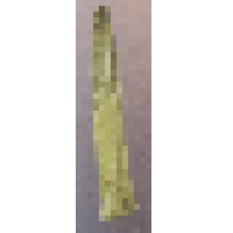 Заготовка наконечника стрелы. Пижемское городище