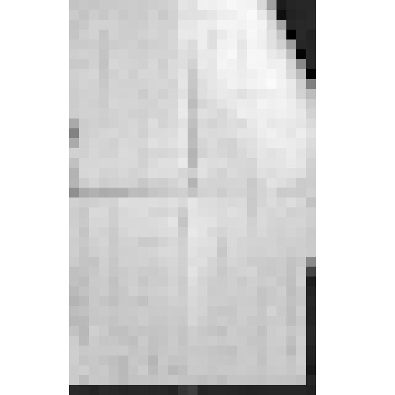 Письмо участника Гражданской войны Наваева Ф.Е., адресованное редакции газеты "Советская Башкирия".  Датировано 22.12.1966. Рукопись