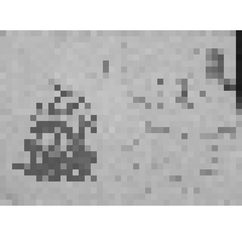 Письмо участника Гражданской войны Наваева Ф.Е., адресованное редакции газеты "Советская Башкирия".  Датировано 22.12.1966. Рукопись