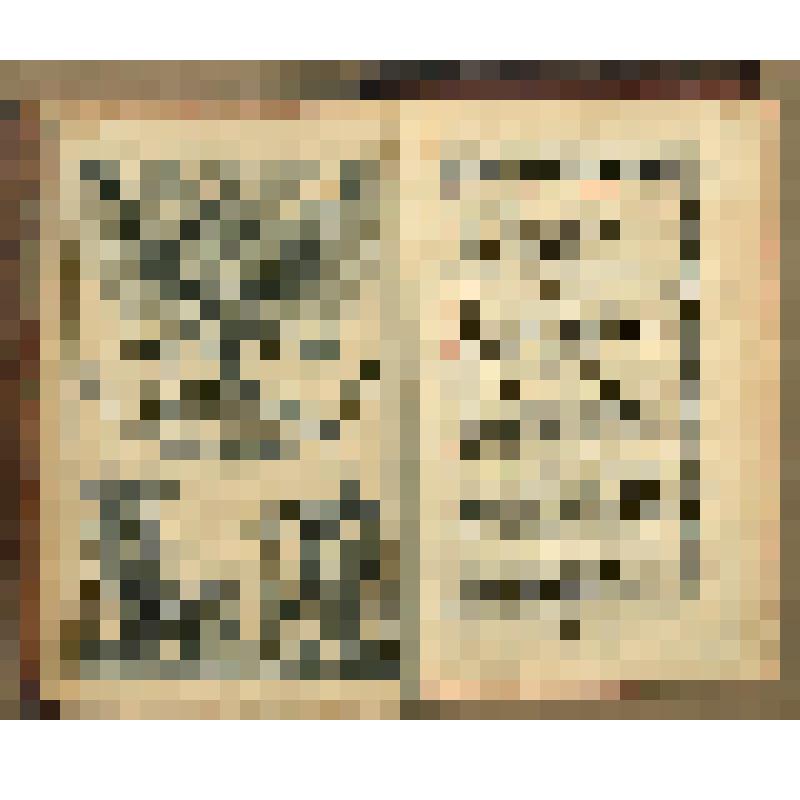 Книга. Арифметика, сиречь наука числительная. С разных диалектов на славянский язык переведеная, и во едино собрана и на две книги разделена. Ныне же повелением благочестивейшаго великаго государя нашего царя и великаго князя Петра Алксеевича все Великия