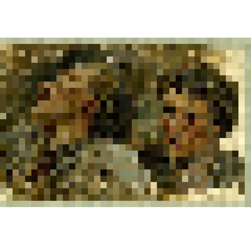 Этюд. Головы татар