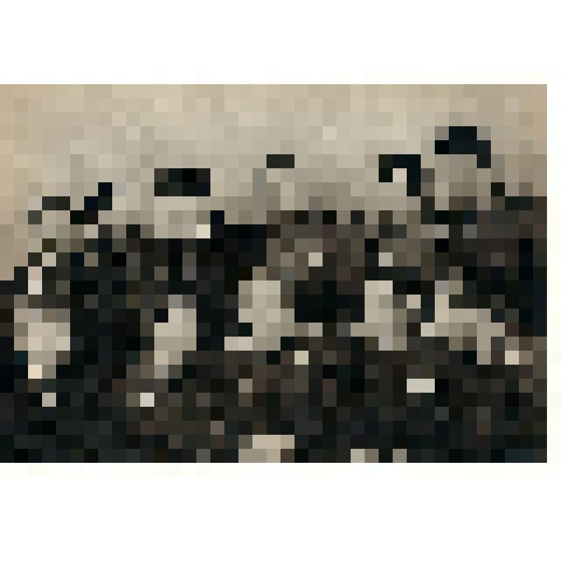 Фотооткрытка "Юрий Гагарин с космонавтами первого набора" с фото В. Черединцева и Е. Кассина